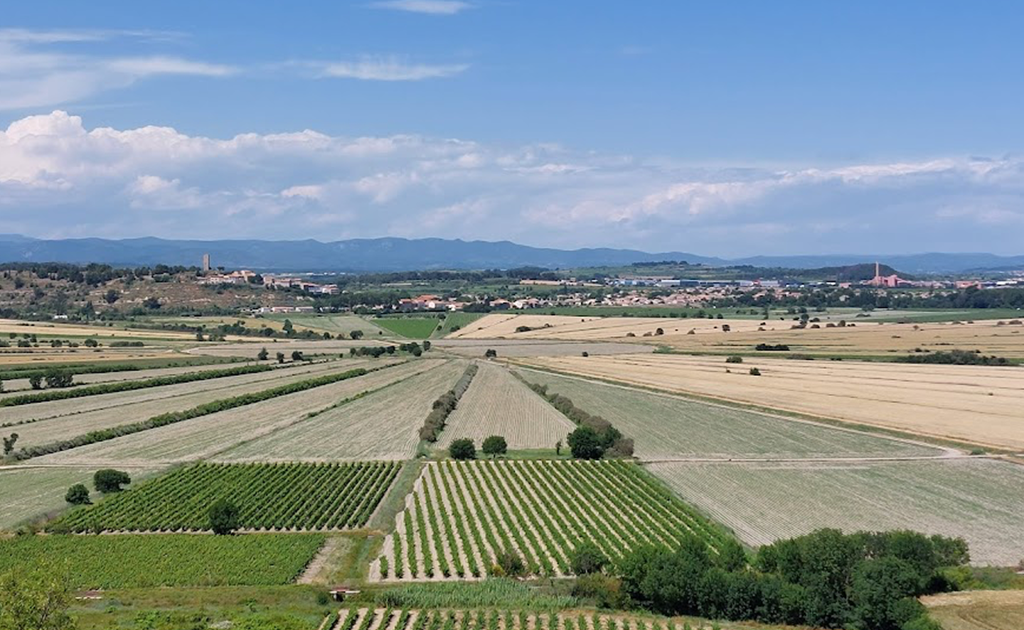 Paysage de l’Hérault